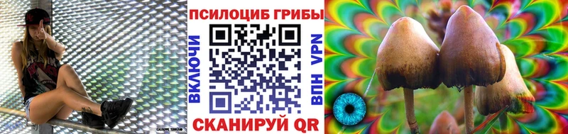 Галлюциногенные грибы мицелий MEGA ссылки Алатырь